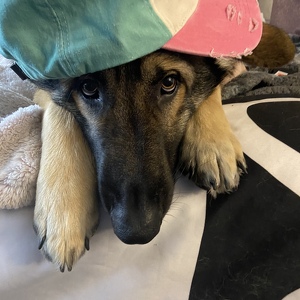 Fundraising Page: Krystal  Barnes